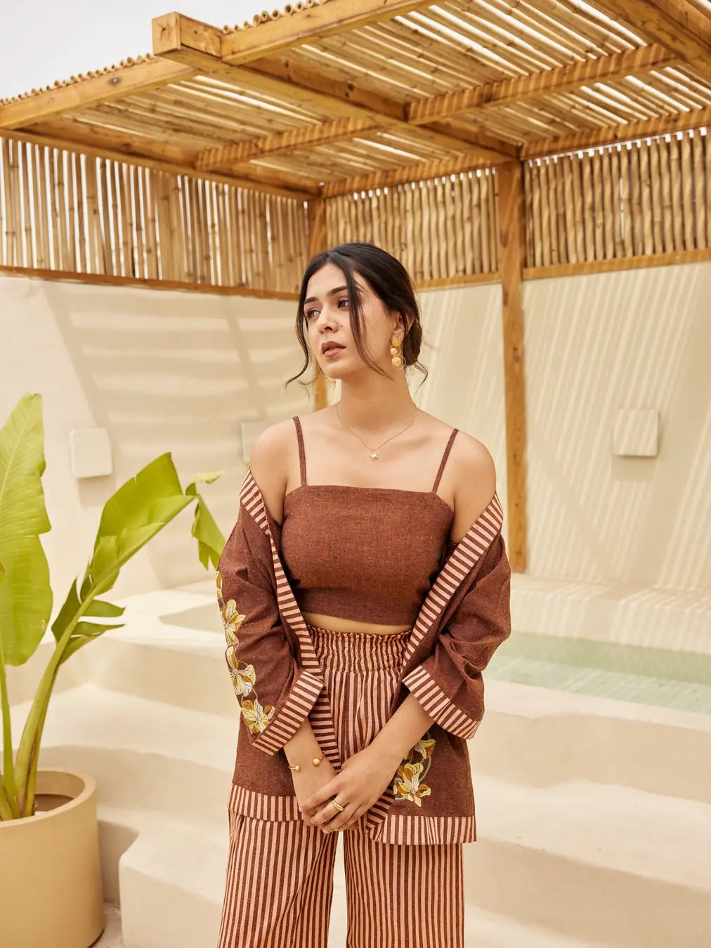 Brown Pinstripe - Ambaree - 5